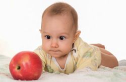 Как правильно кормить малыша фруктами